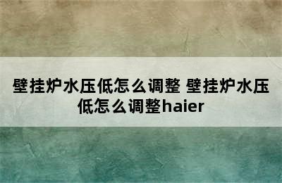 壁挂炉水压低怎么调整 壁挂炉水压低怎么调整haier